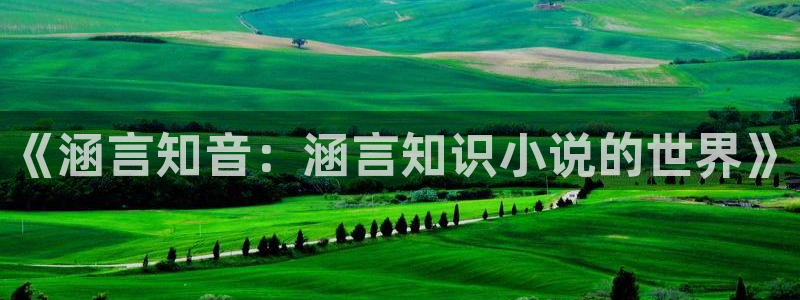 豆豆网小说阅读：《涵言知音：涵言知识小说的世界》