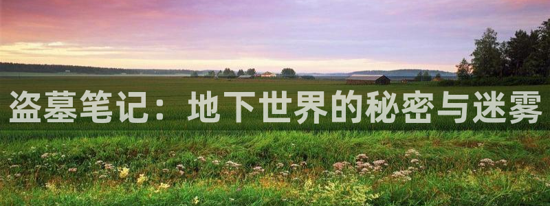 免费小说小说阅读网：盗墓笔记：地下世界的秘密与迷雾