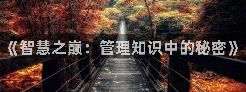 年少轻狂小说阅读全文：《智慧之巅：管理知识中的秘密》
